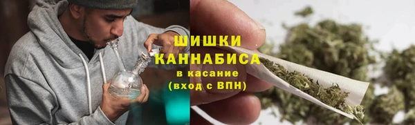 сатива Елабуга